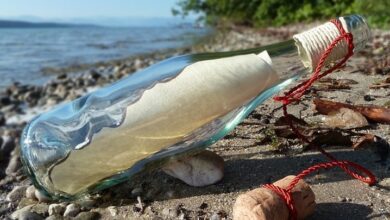 O femeie a găsit o sticlă cu un mesaj lăsat în mare acum 34 de ani: Cine l-a scris (Foto)